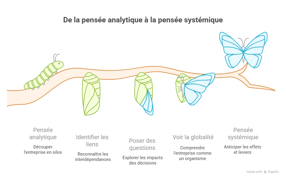 De la pensée analytique à la pensée systémique