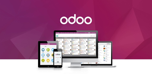Diagnostic Odoo